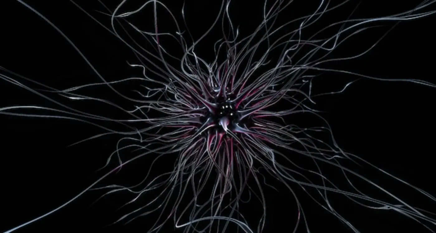 How Can Mirror Neurons Improve Your App's UX Design?