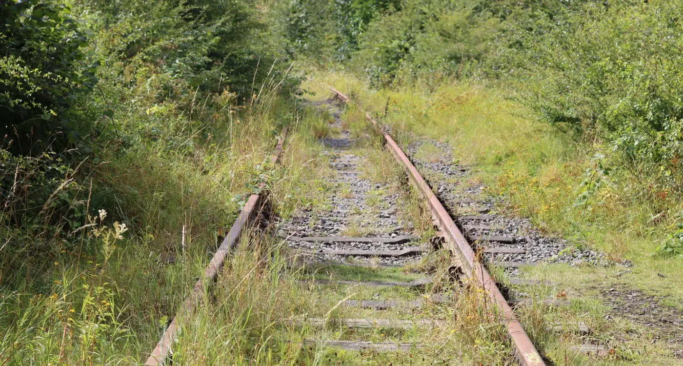 How Do I Future-Proof My App Against Tech Obsolescence?