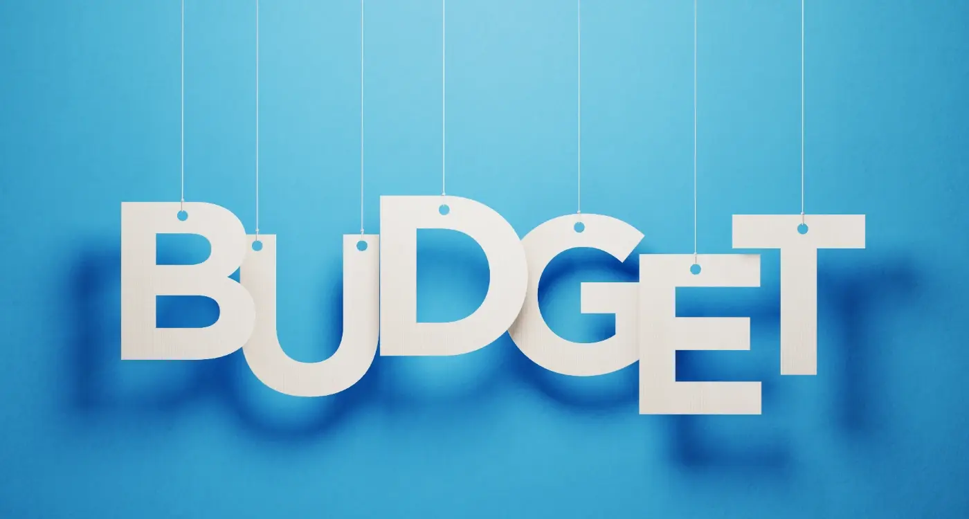 Which Budget Models Work Best for App Feasibility Studies?